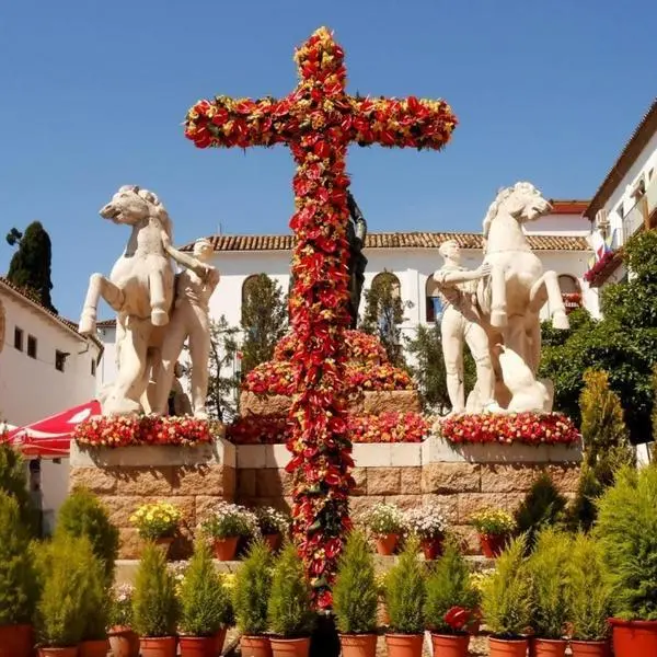 Las Cruces de Mayo de C&oacute;rdoba. Foto v&iacute;a: @apitcordoba