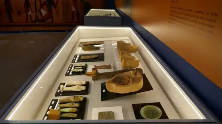 Colecci&oacute;n expuesta en el Museo Arqueol&oacute;gico de C&oacute;rdoba