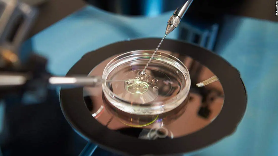 Fecundaci&oacute;n in vitro
